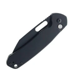 CJRB Pyrite Button Lock Folding Knife Black Steel Handle AR-RPM9 Wharncliffe Plain Black Blade J1925A-BST -Pocket Knife Shop CJRB 1929A BST 01 30885.1681828711